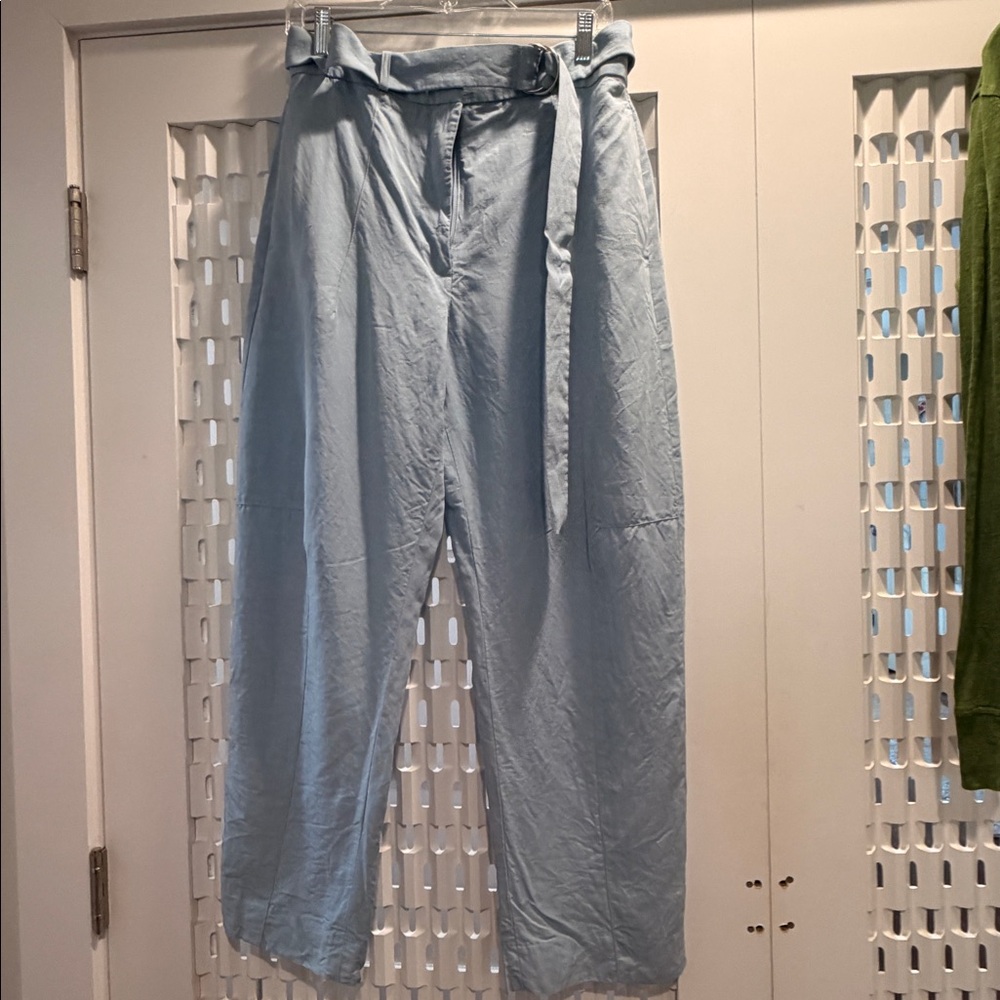 Banana Republic Light Blue Linen Barrel Pant Sz 6